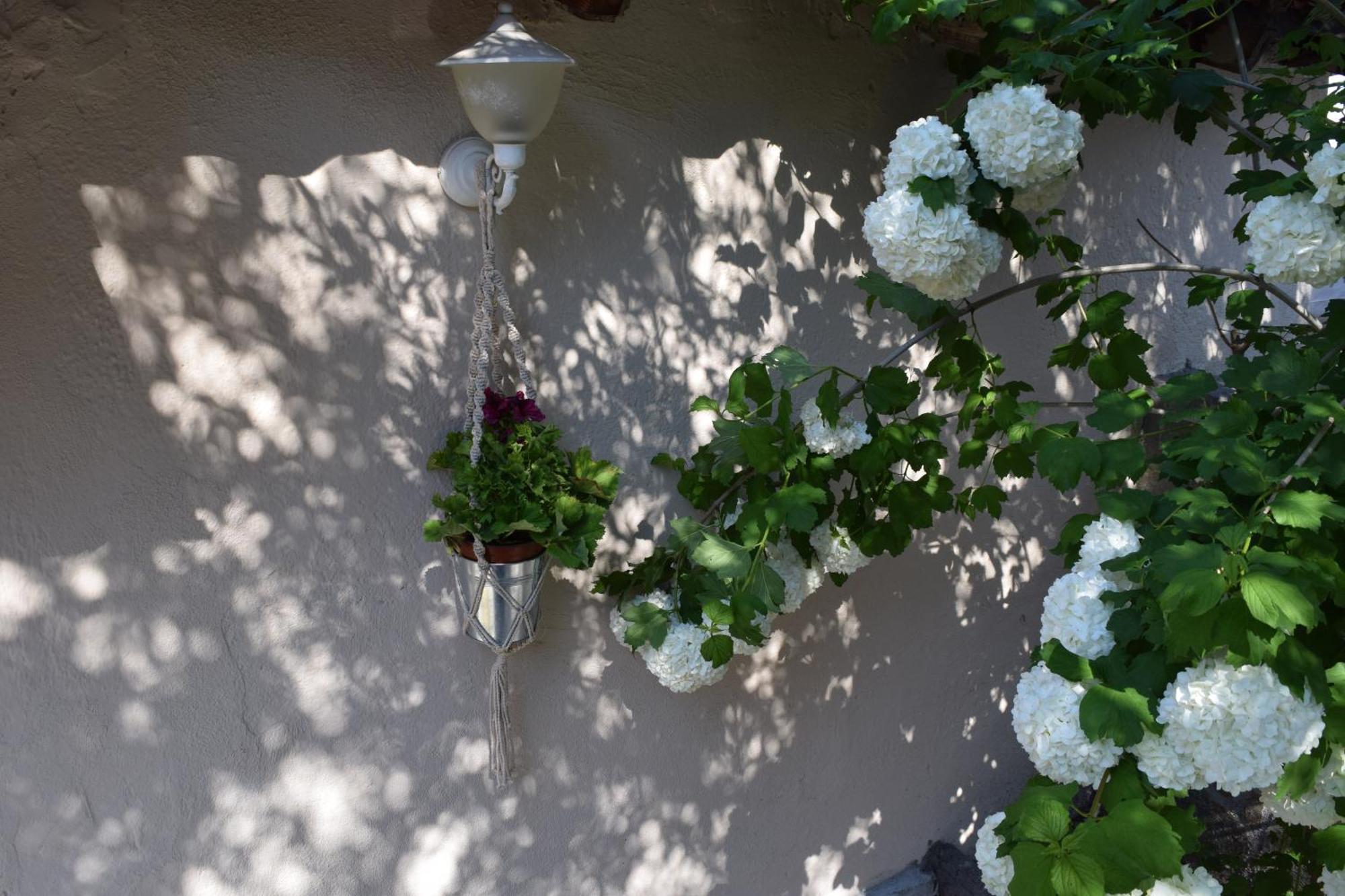 Rina'S House Villa Kalampáka Dış mekan fotoğraf